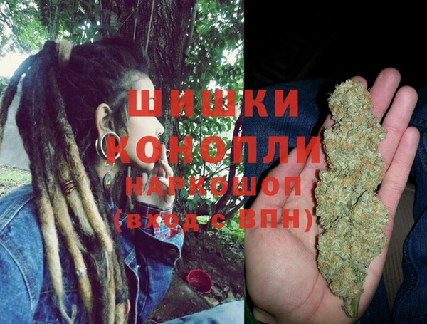 PSILOCYBIN Аркадак