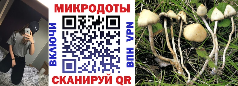 продажа наркотиков  это Telegram  Галлюциногенные грибы MAGIC MUSHROOMS  Хотьково 